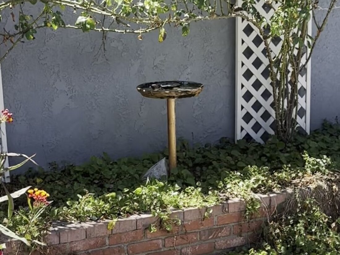A birdbath fountain in the garden